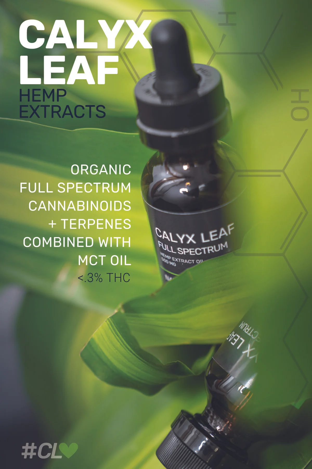 calyx-4x6-flyer_0000_front .jpg