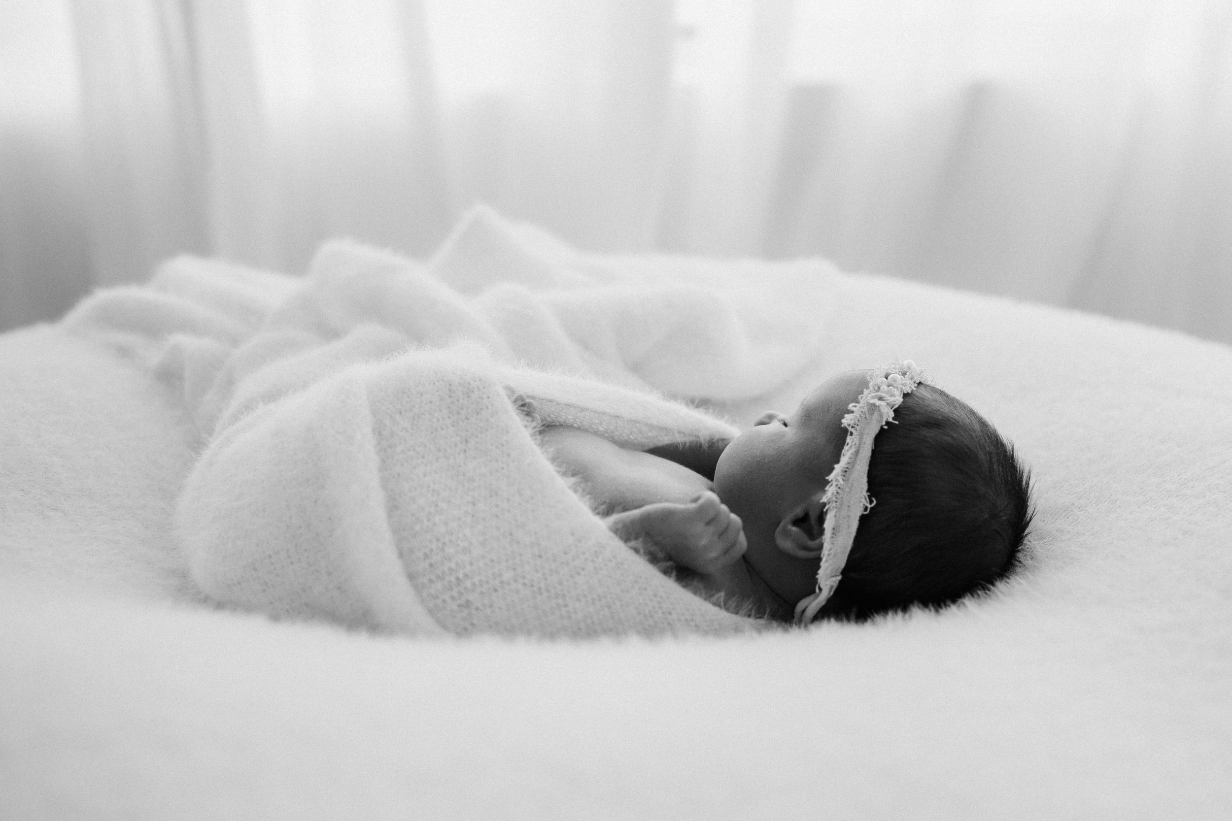 newborn_portraits.jpg