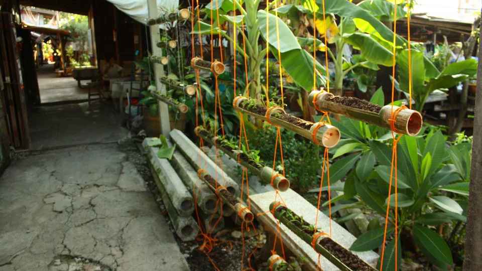 Openspace is a collective of architects, researchers and development practitioners, specialising in working with communities through participatory processes. Learn more Tar-Saeng Studio