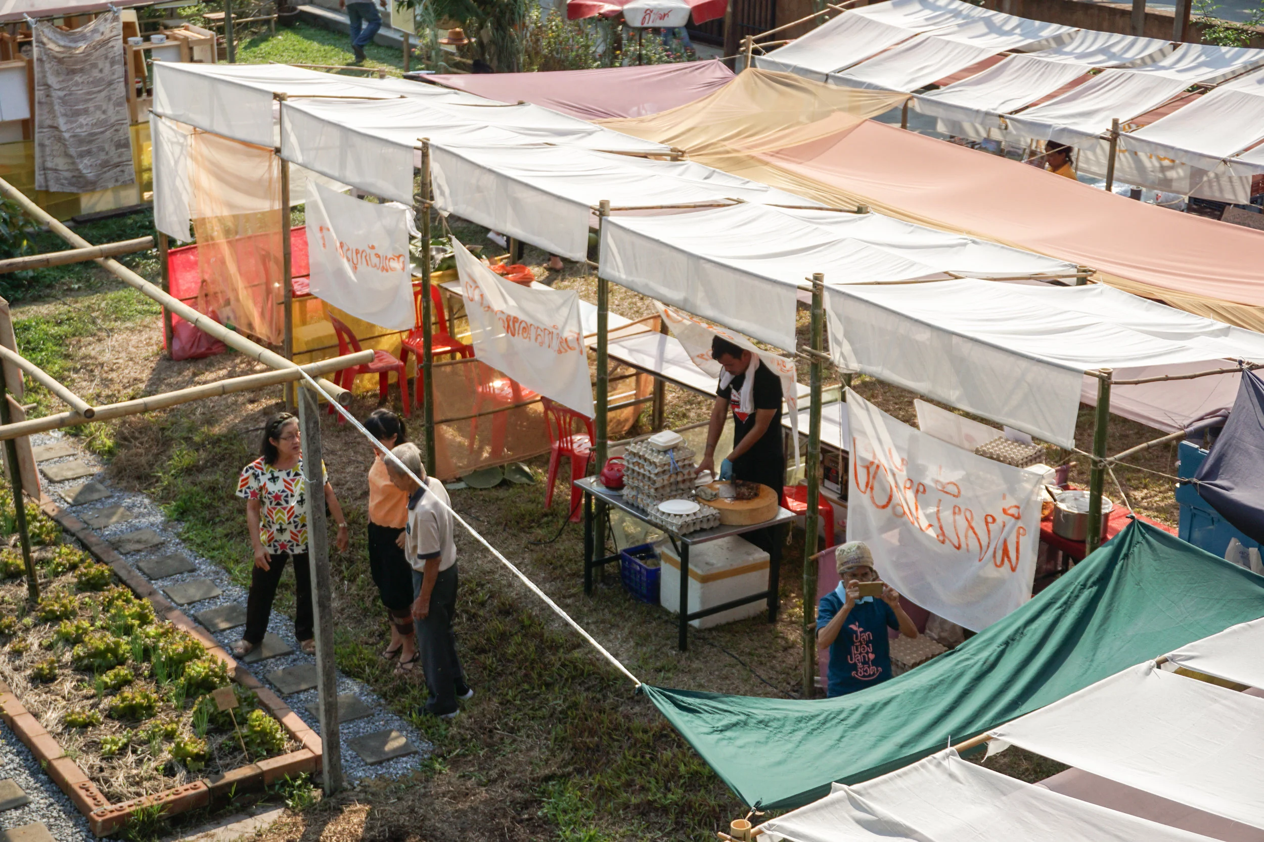 Community city farm in Bangkok, Thailand