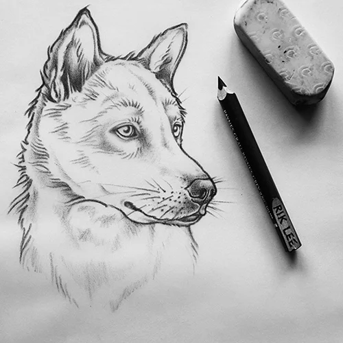 Bali Dog