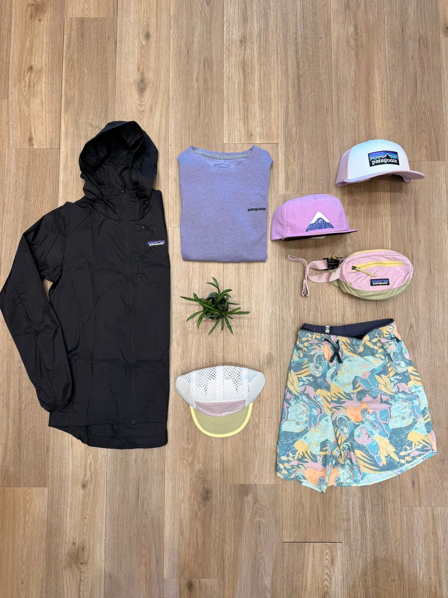 WhatsApp Image 2026-04-24 at 11.19.02.jpeg