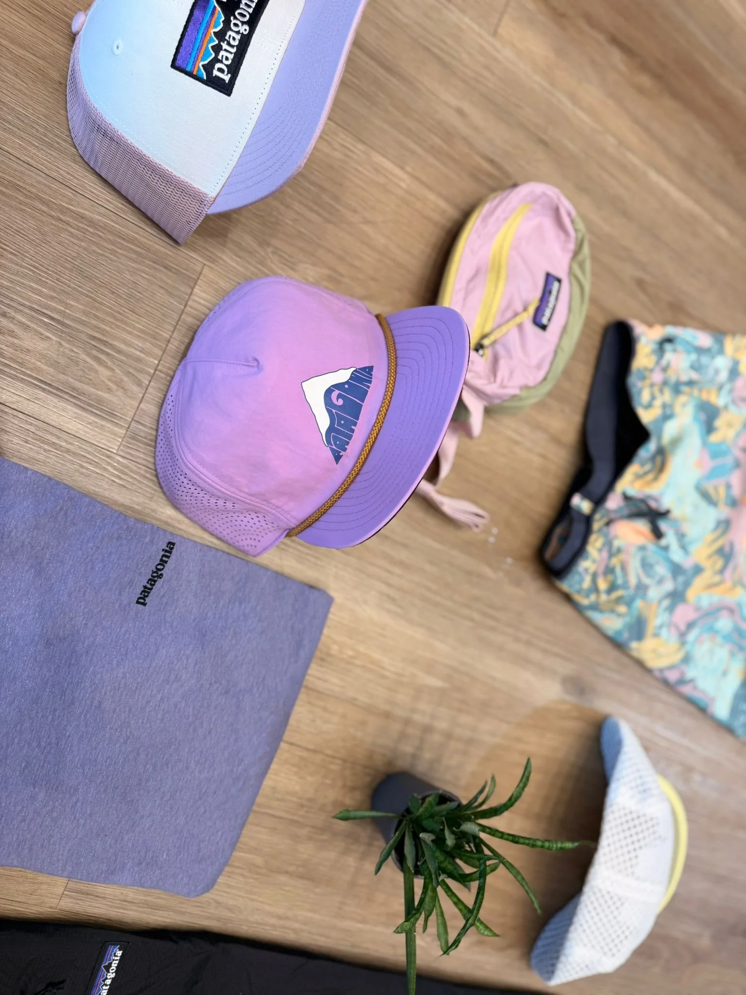 WhatsApp Image 2026-04-24 at 11.19.05.jpeg