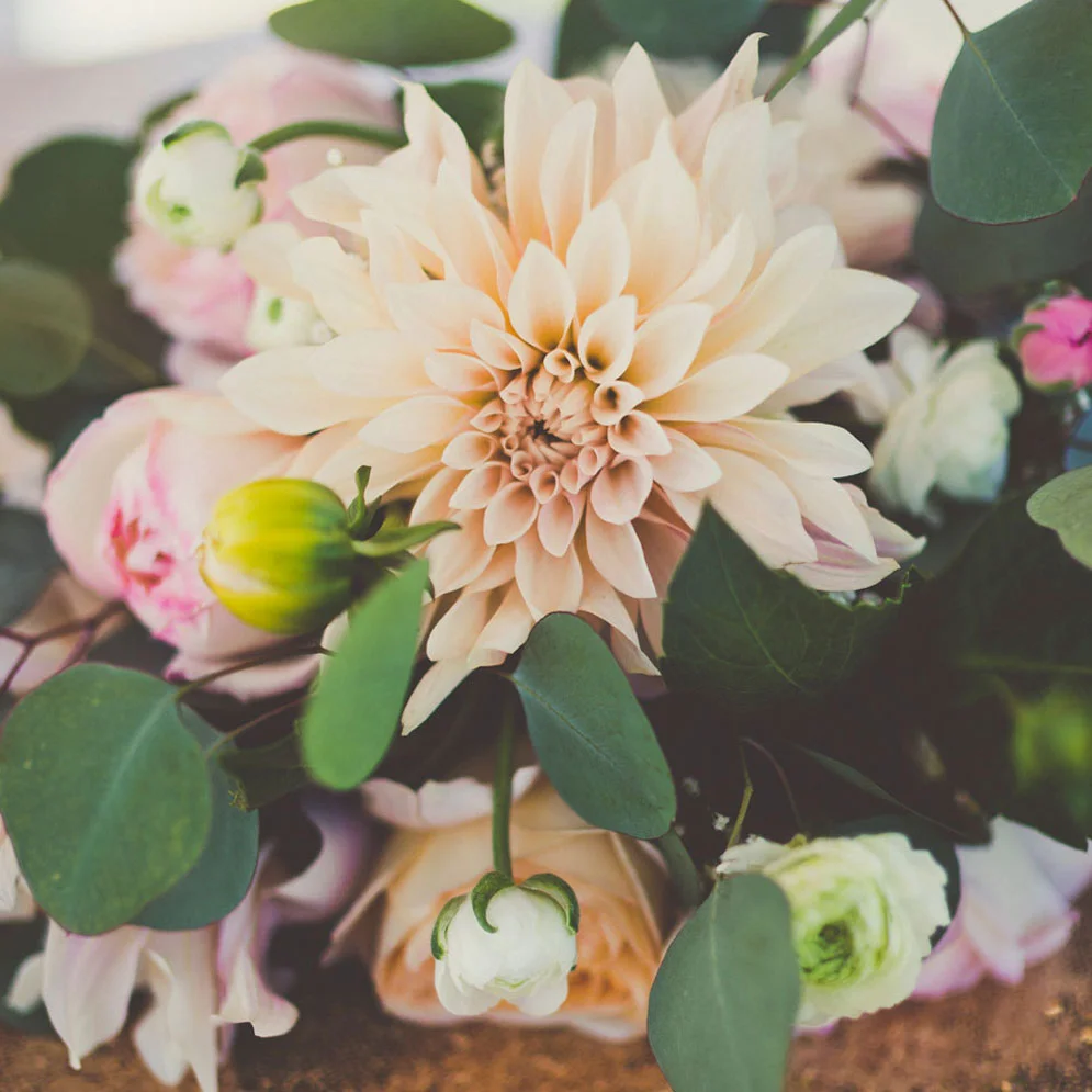 Bride's bouquet. Photo: Sarah Kathleen