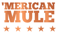 merica1.png
