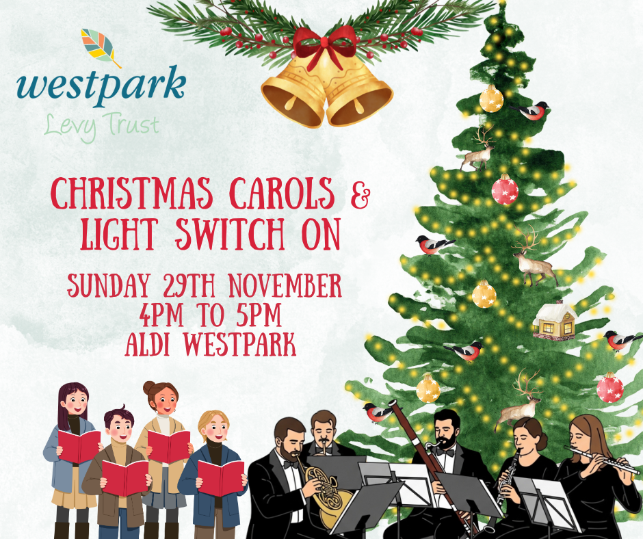 Christmas Carols and Light Switch on 
