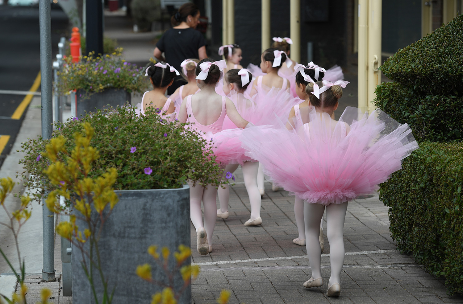 DSC_4064-COPY.jpg