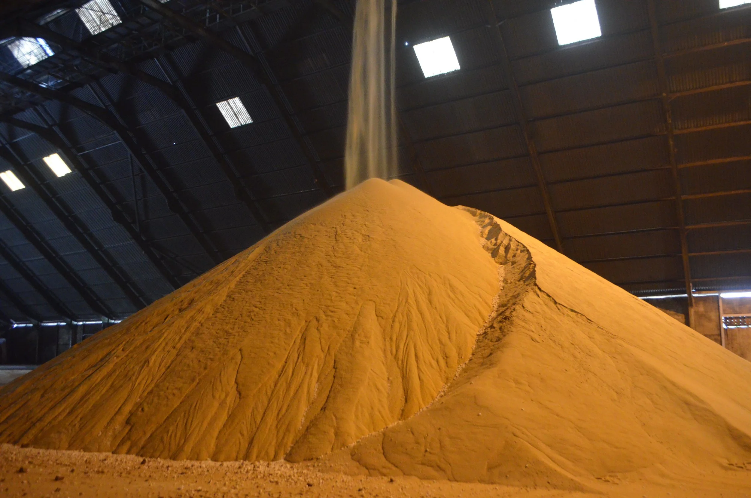 Bulk Raw Sugar in Store