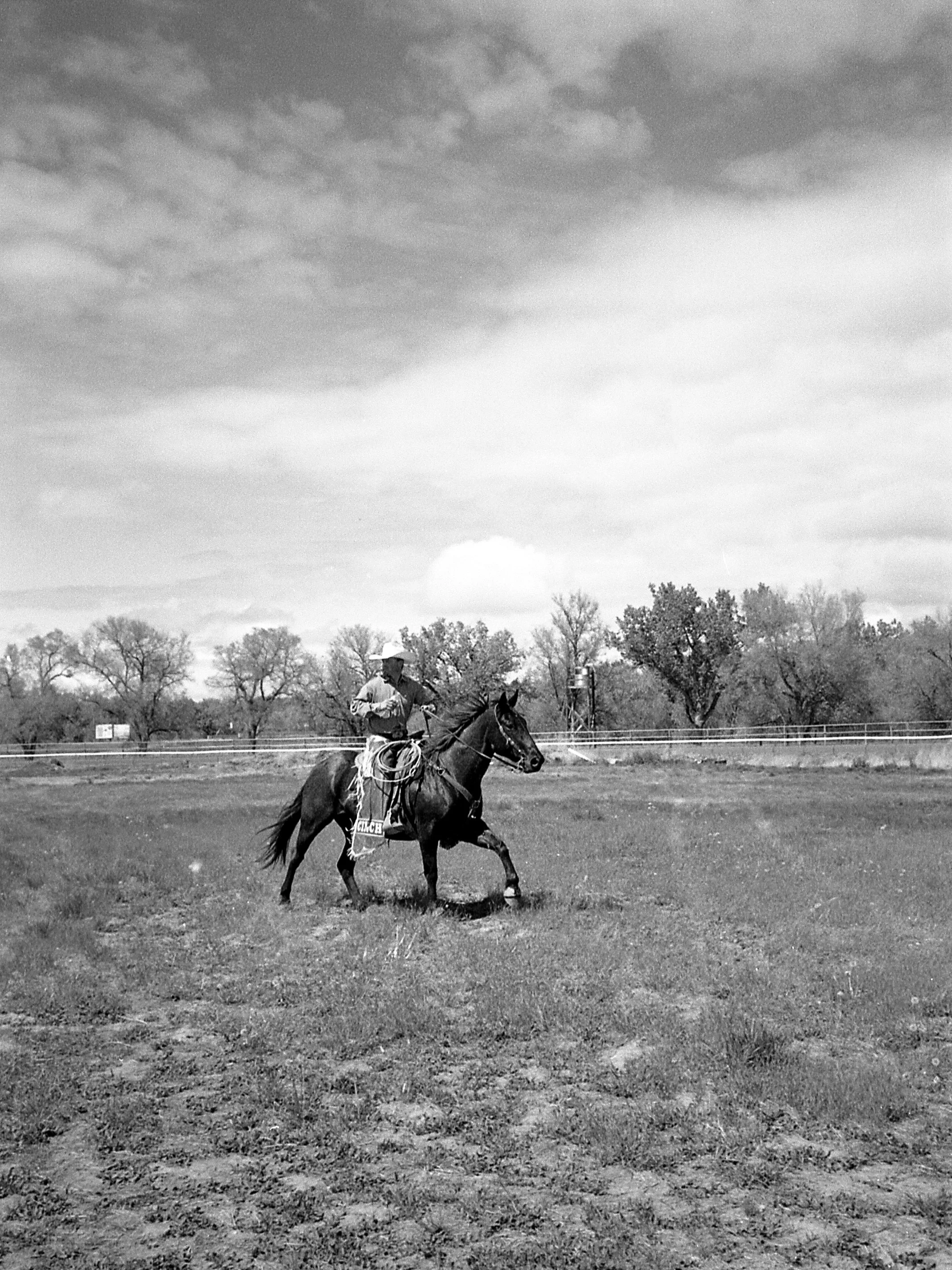 montana016-Recovered_1.jpg