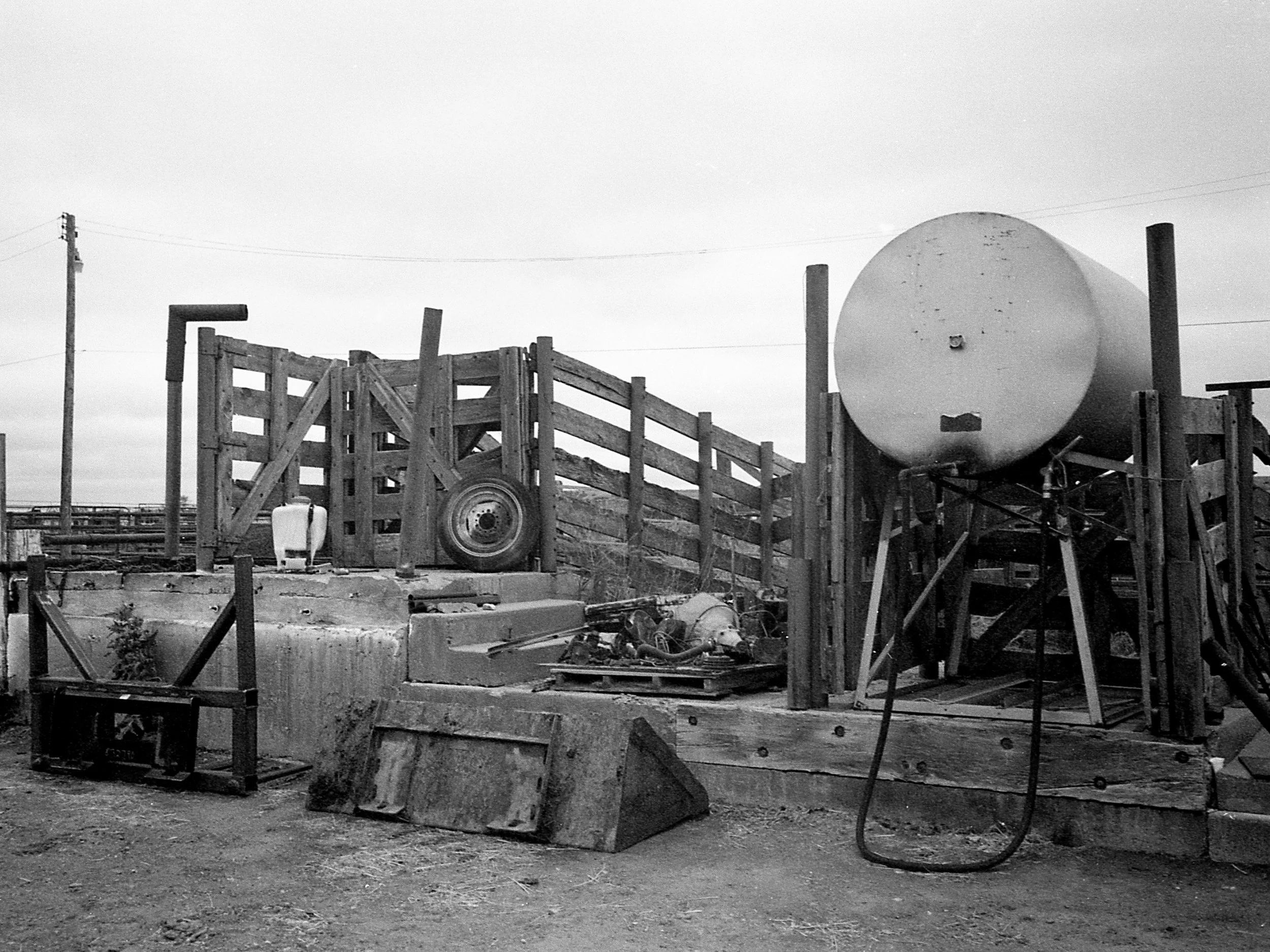 montana030-Recovered_1.jpg