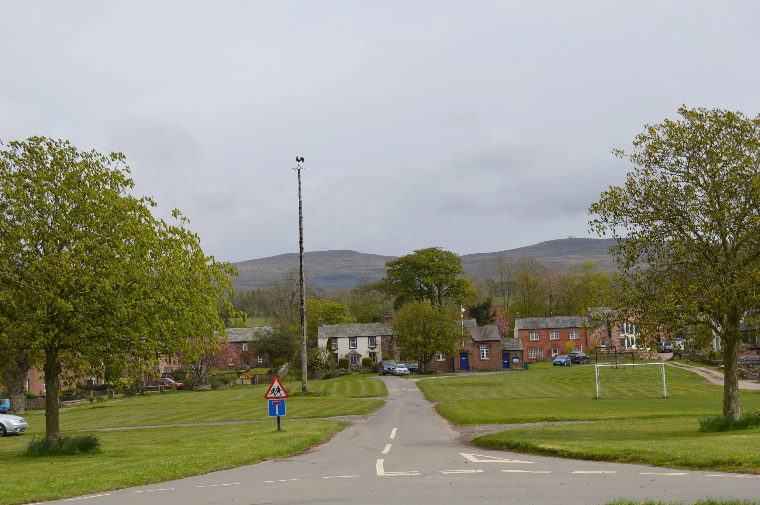 DSC_0796.JPG