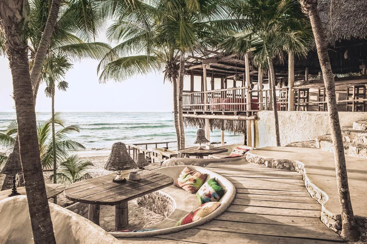 Slow Travels: Papaya Playa Project