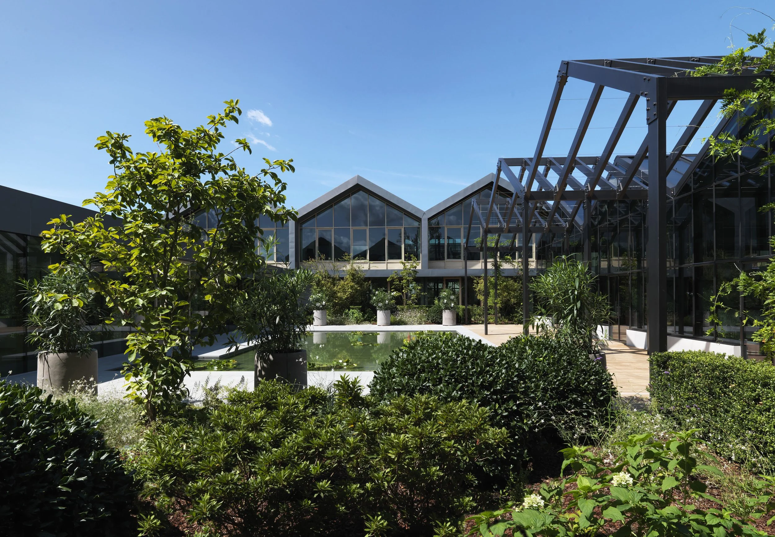 4.Davines Village_External view waterlilies court_3.jpg