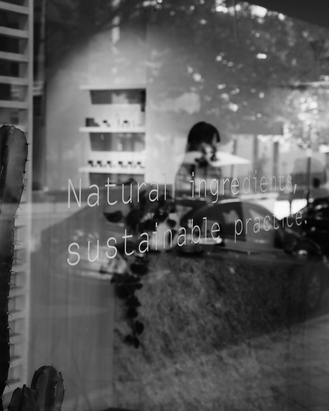 Front window, logo, signage