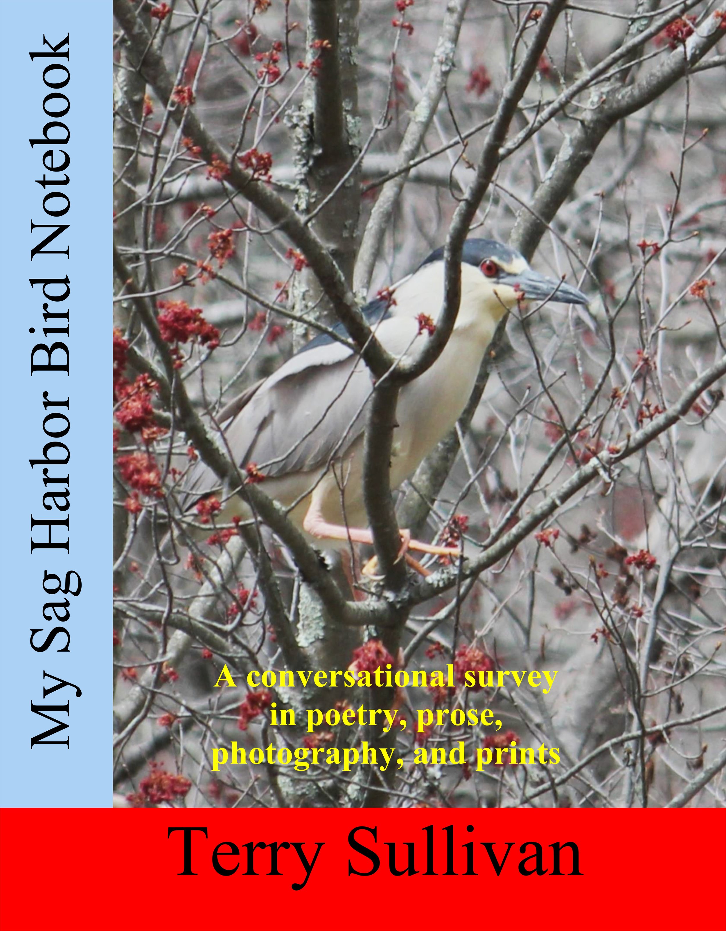 Sullivan COVER.jpg