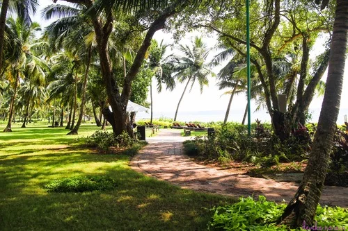 Photo: Devika Narain