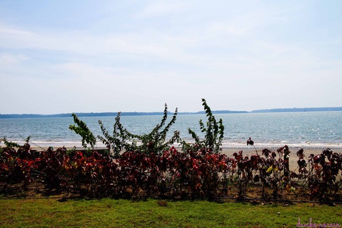 Photo: Devika Narain