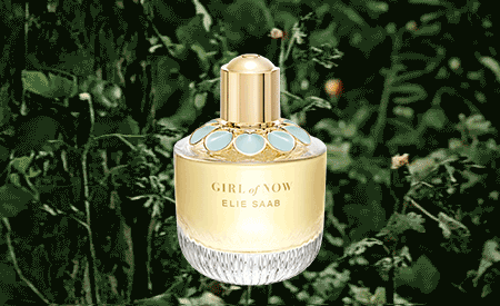 Bottle Visual II.gif