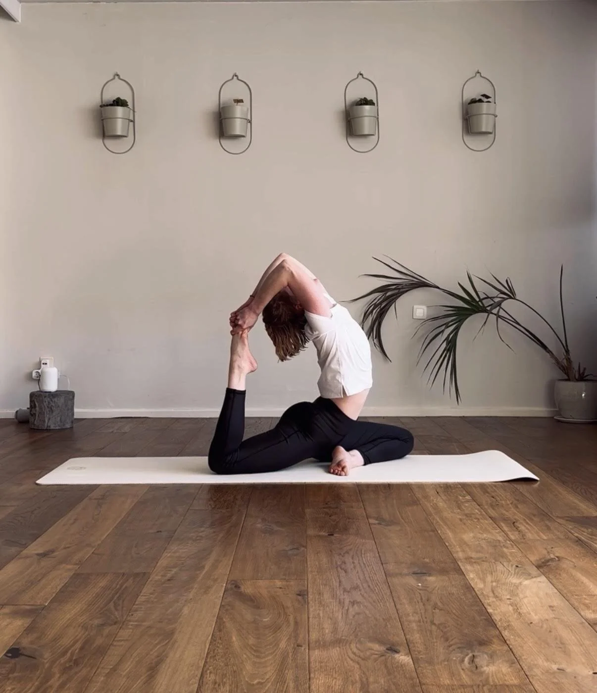 The Reset : summer in motion