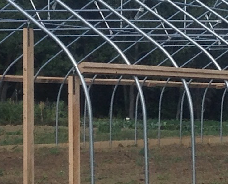 2x4 hipbaord and batten system before poly installation.