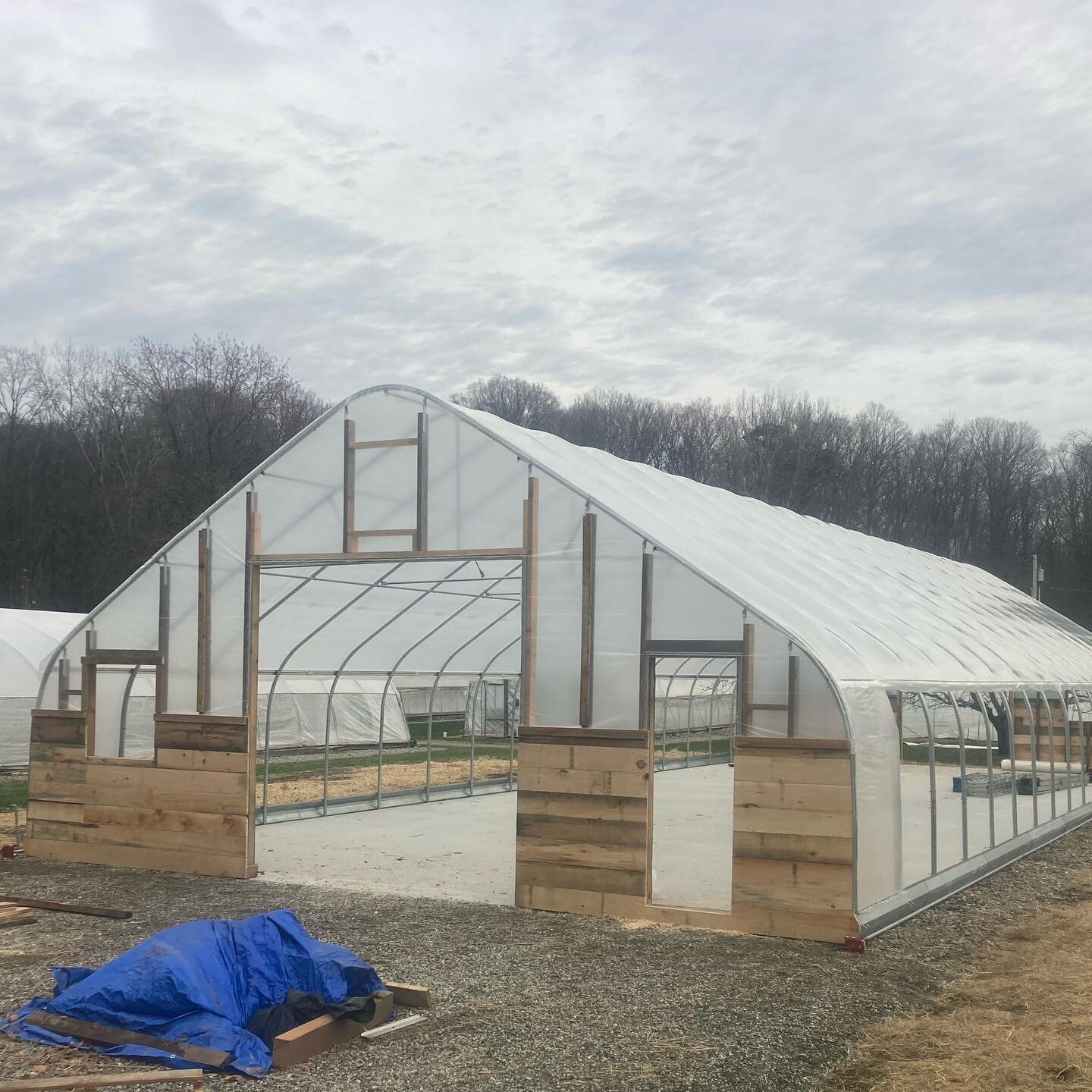 Either the frame grew 6&rsquo; overnight or the poly shrank in the dryer!! So close yet so far away @shelburnefarms #mismarkedpoly #theygrowupsofast #wintersoclose #greenhouseconstruction #greenhouse #hightunnel #vineripegh