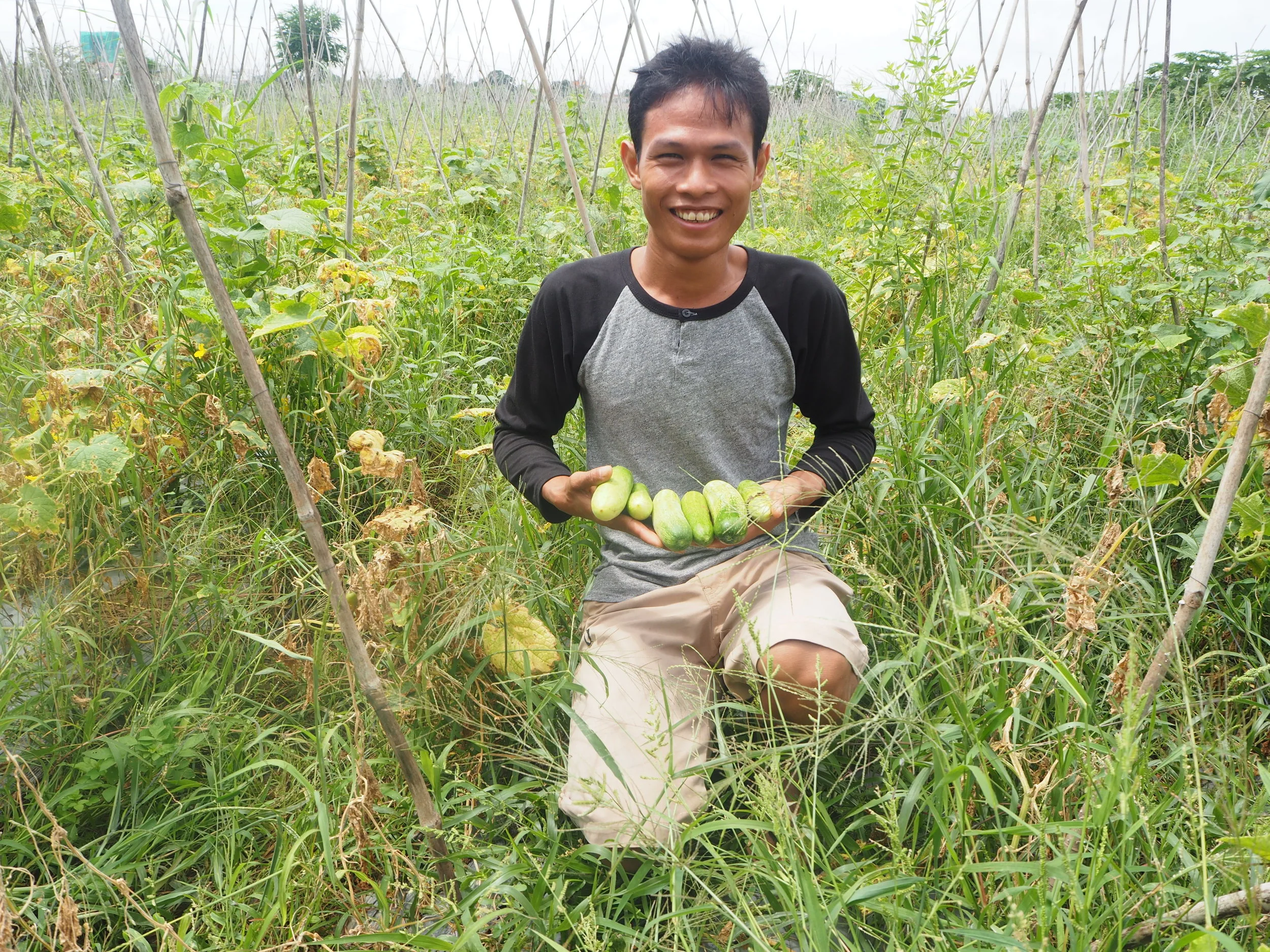 Name:&nbsp;Nhean SamnangBusiness Name:&nbsp;Cucumber Farm