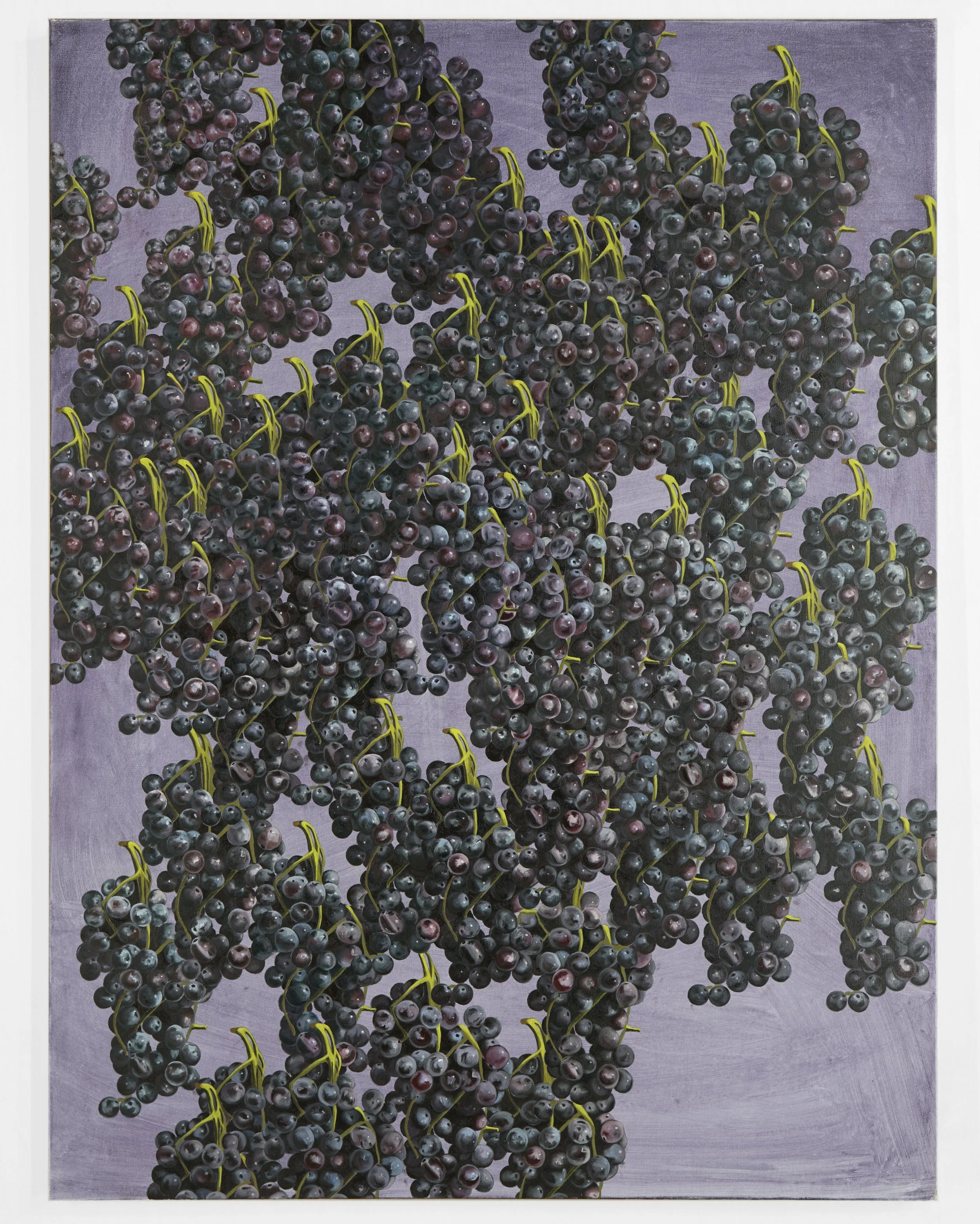Grapes_full.jpg