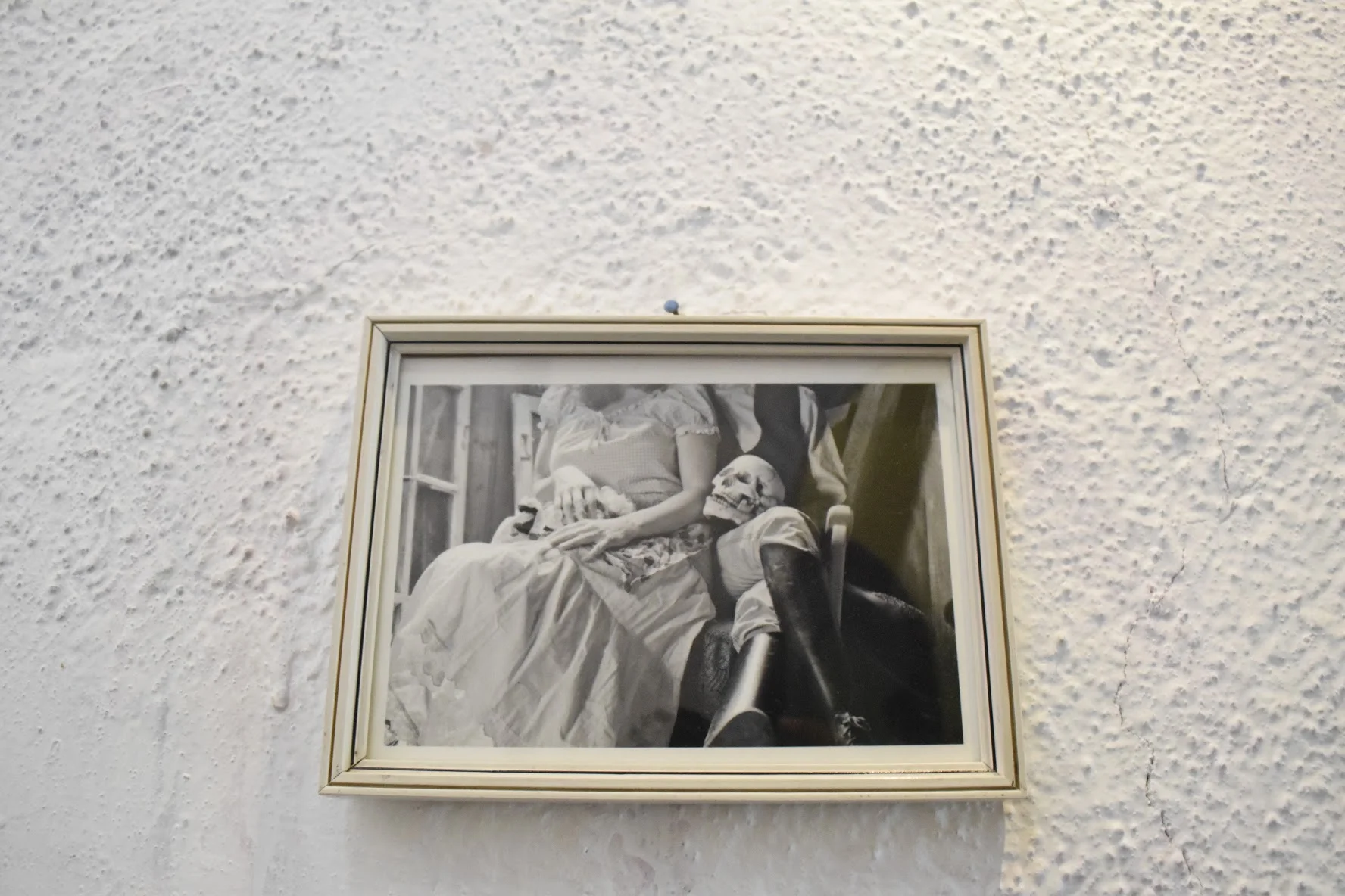 DSC0890.jpg