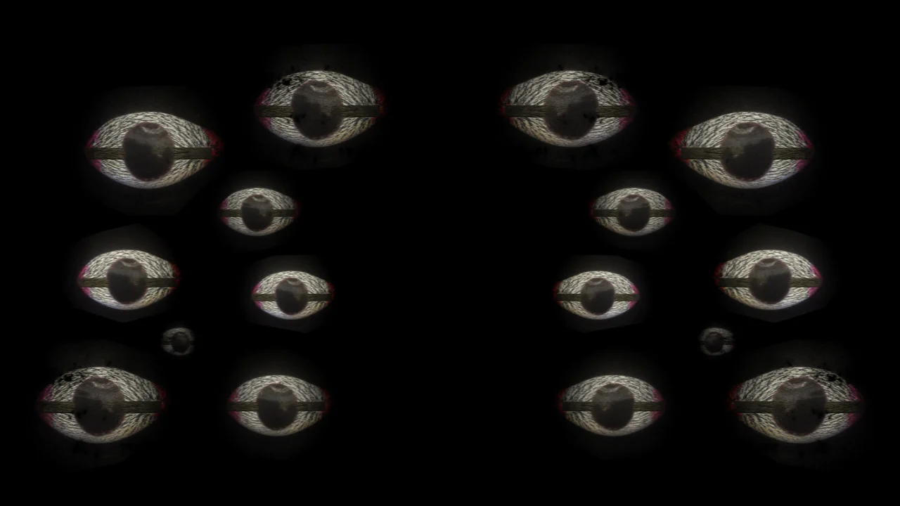 THE SCRY BOX, KRINZINGER PROJEKTE, VIENNA 2018