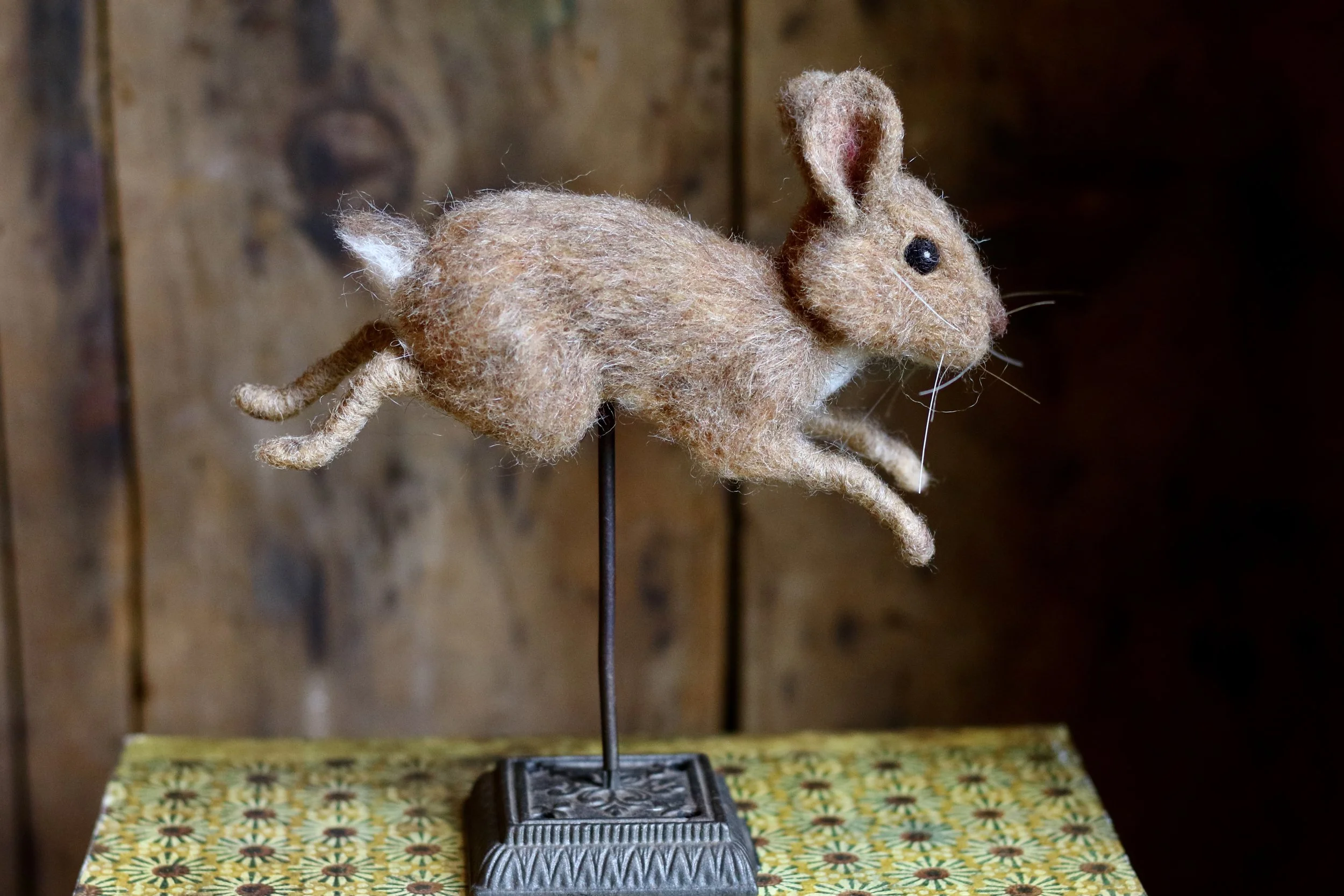 Leaping Bunny