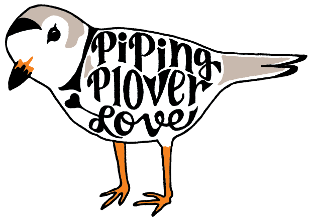 Piping Plover Love