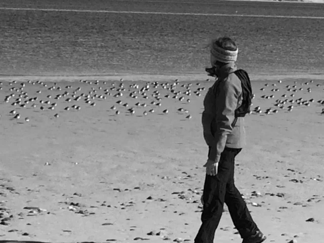Jeremy Point, Wellfleet, Massachusetts