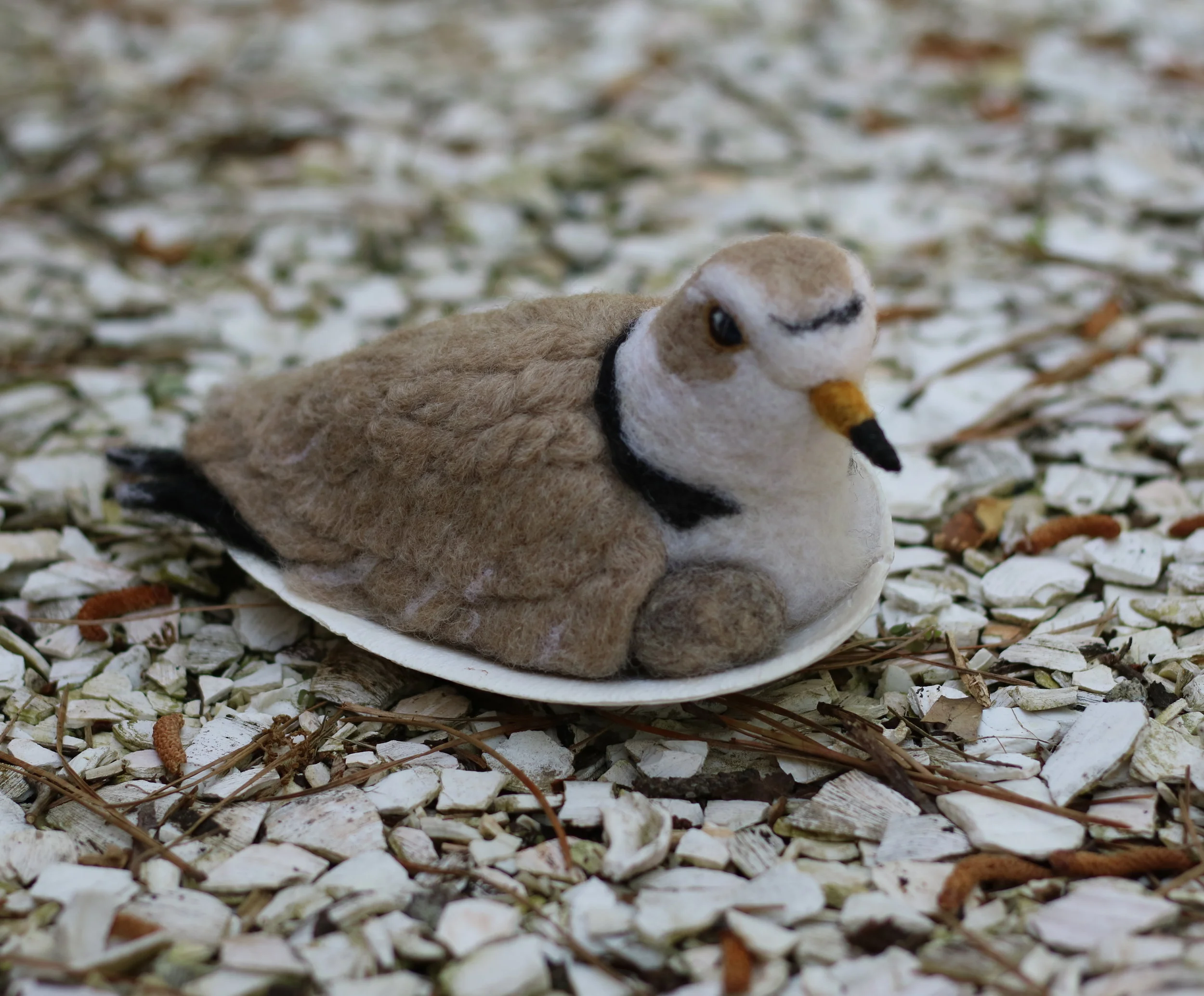 needle felted piping plover