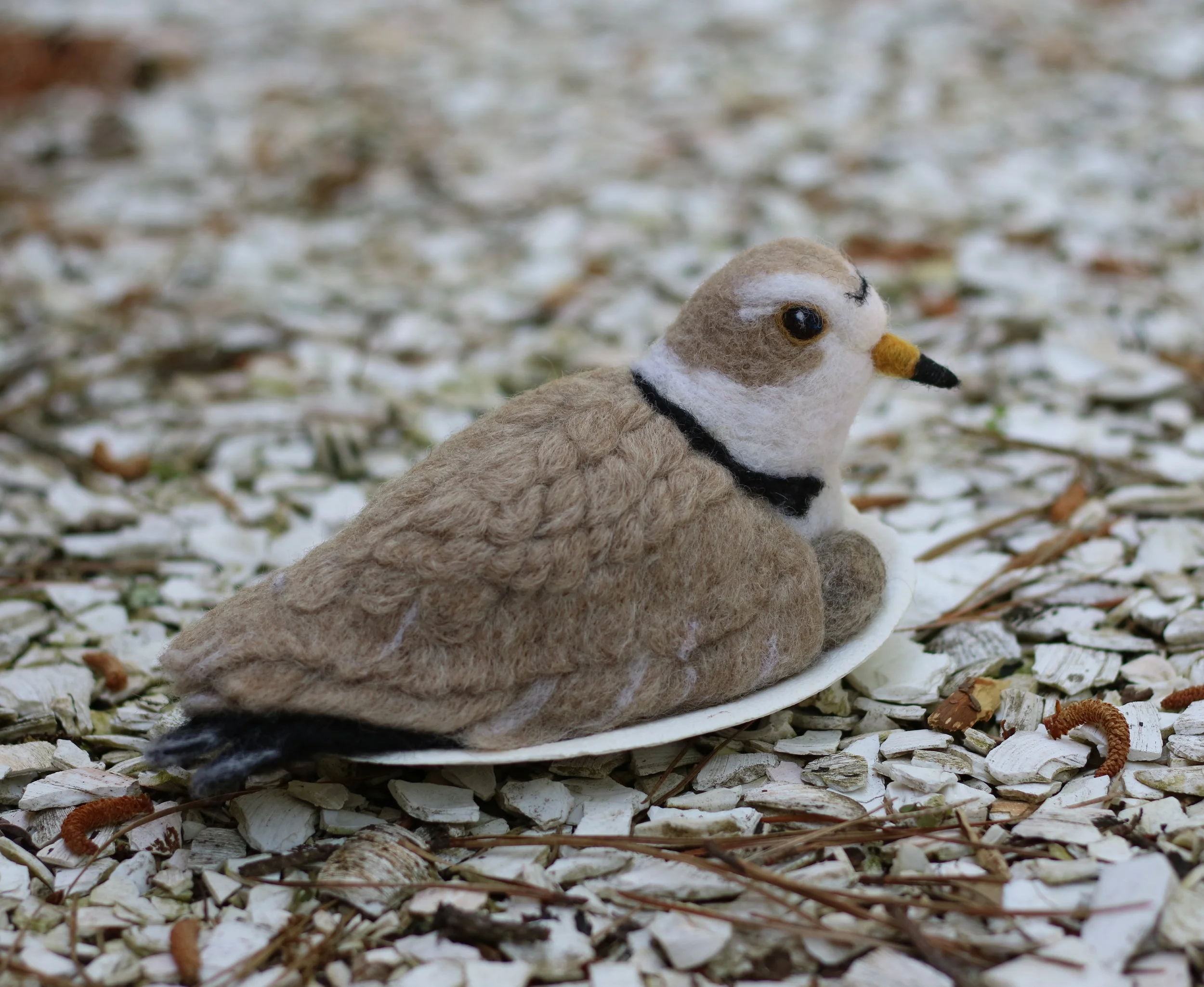 needle felted piping plover