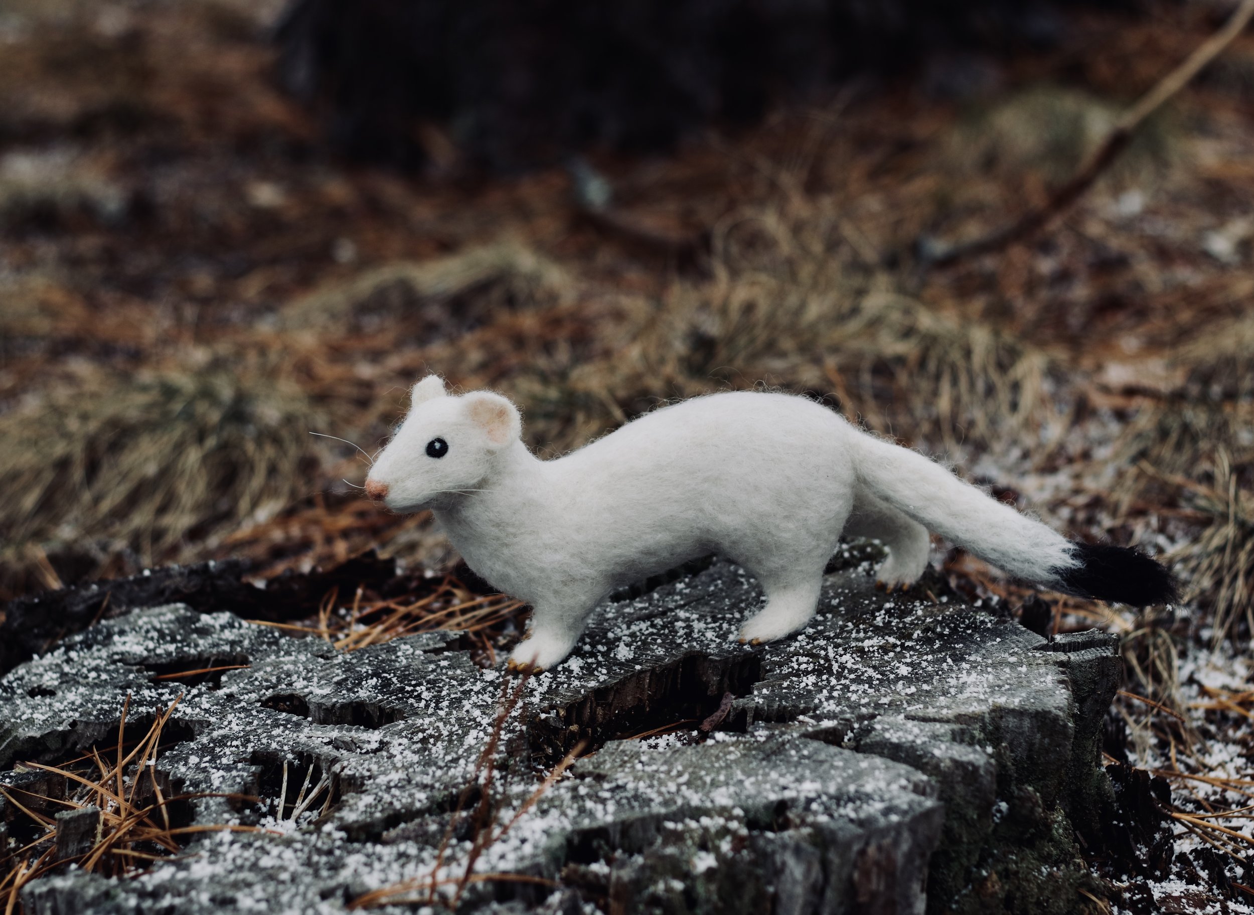 needle felted ermine