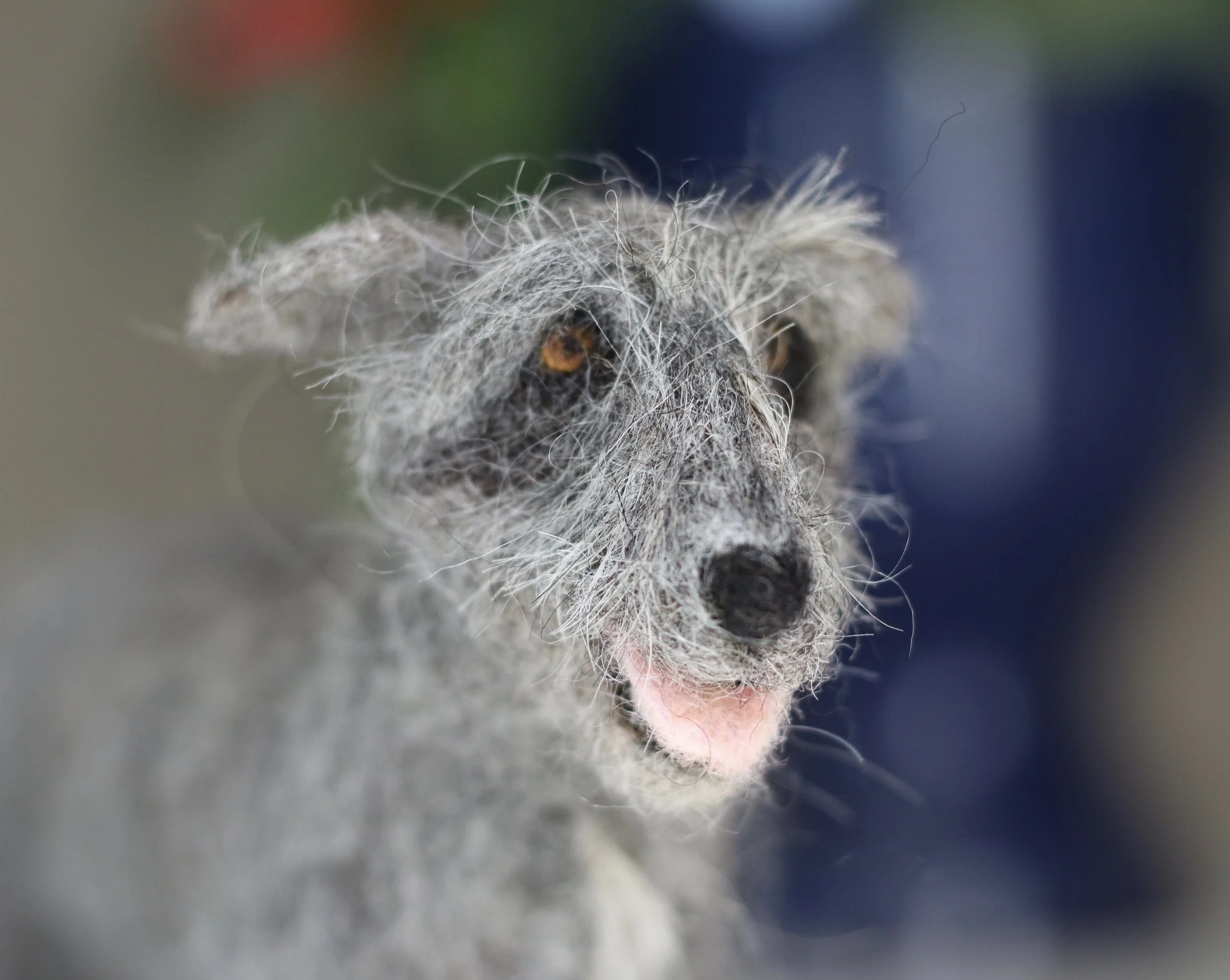 needle felted dog
