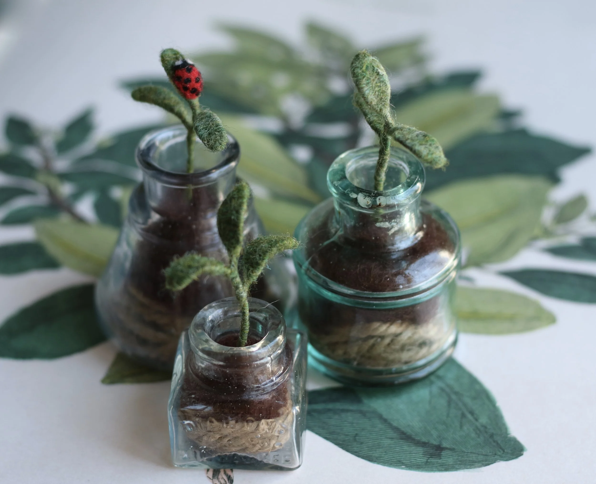 Needle felted seedling