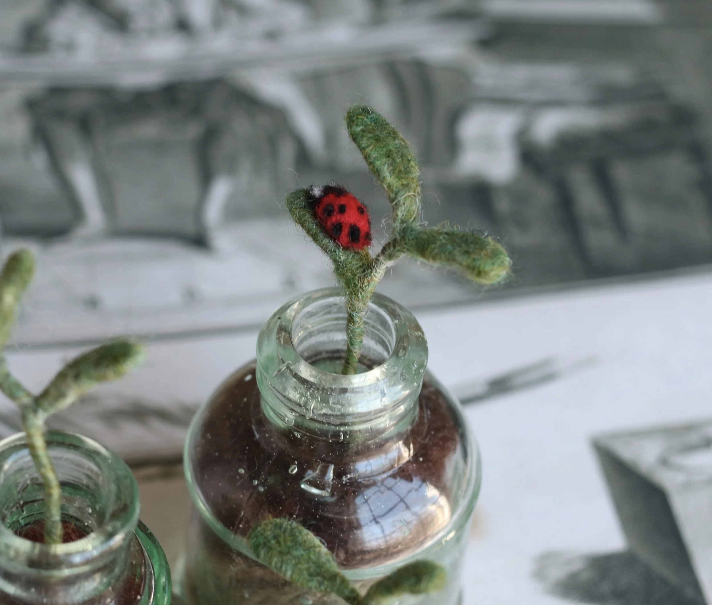 needle felted seedling