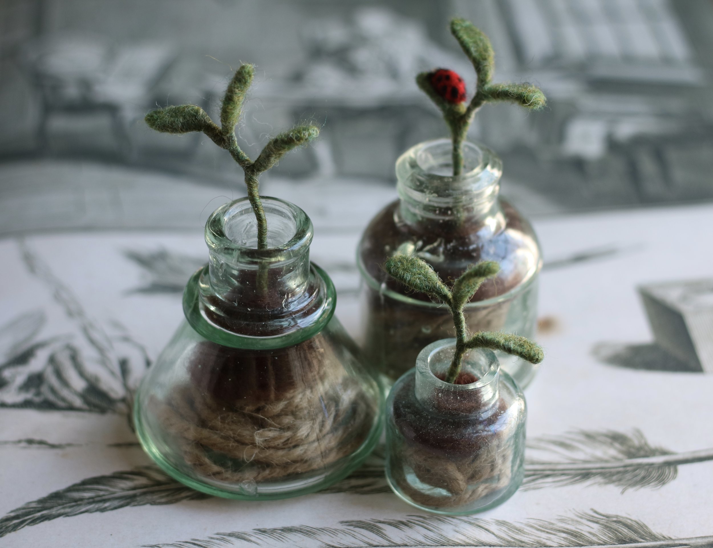needle felted seedling
