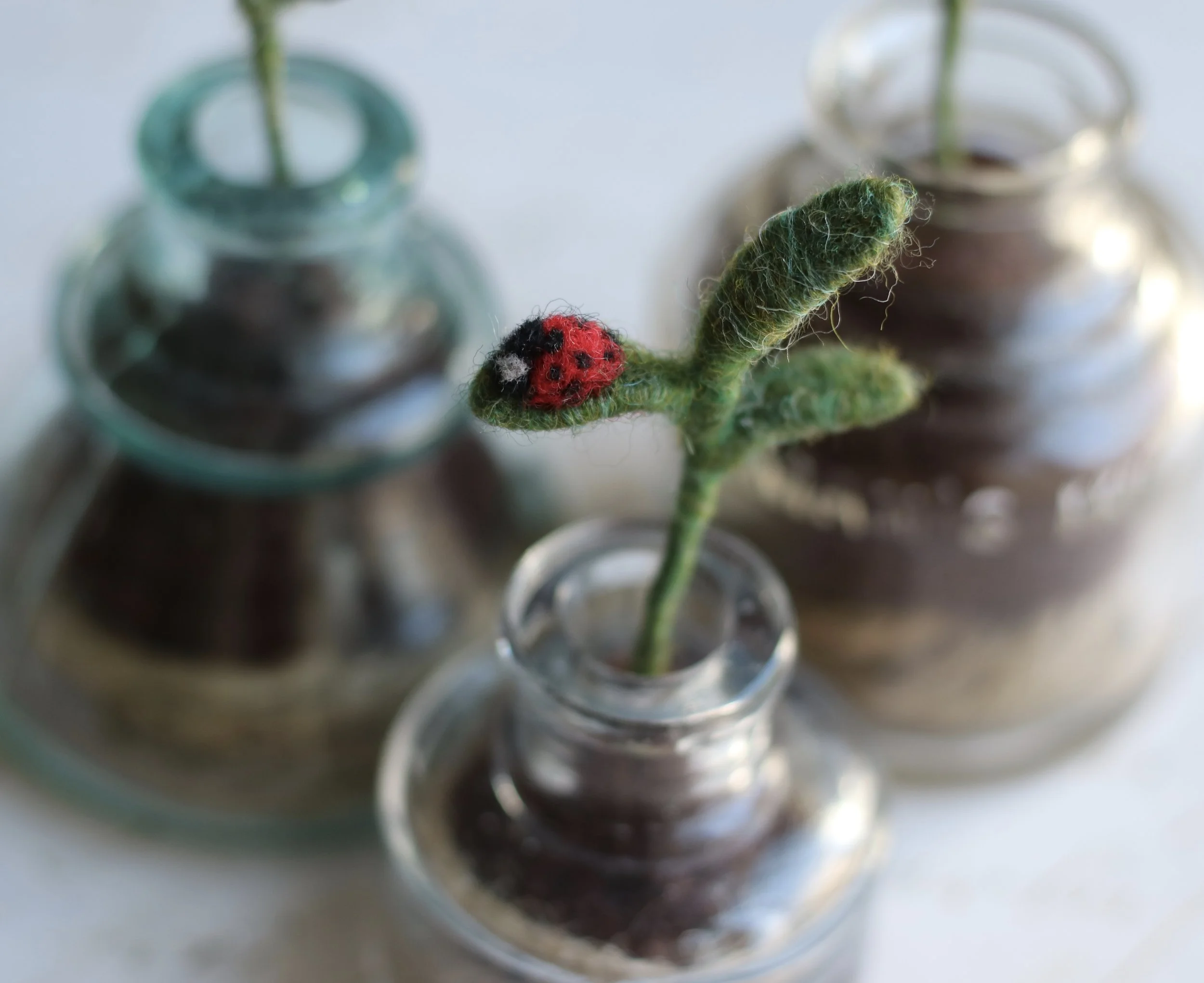 needle felted seedling
