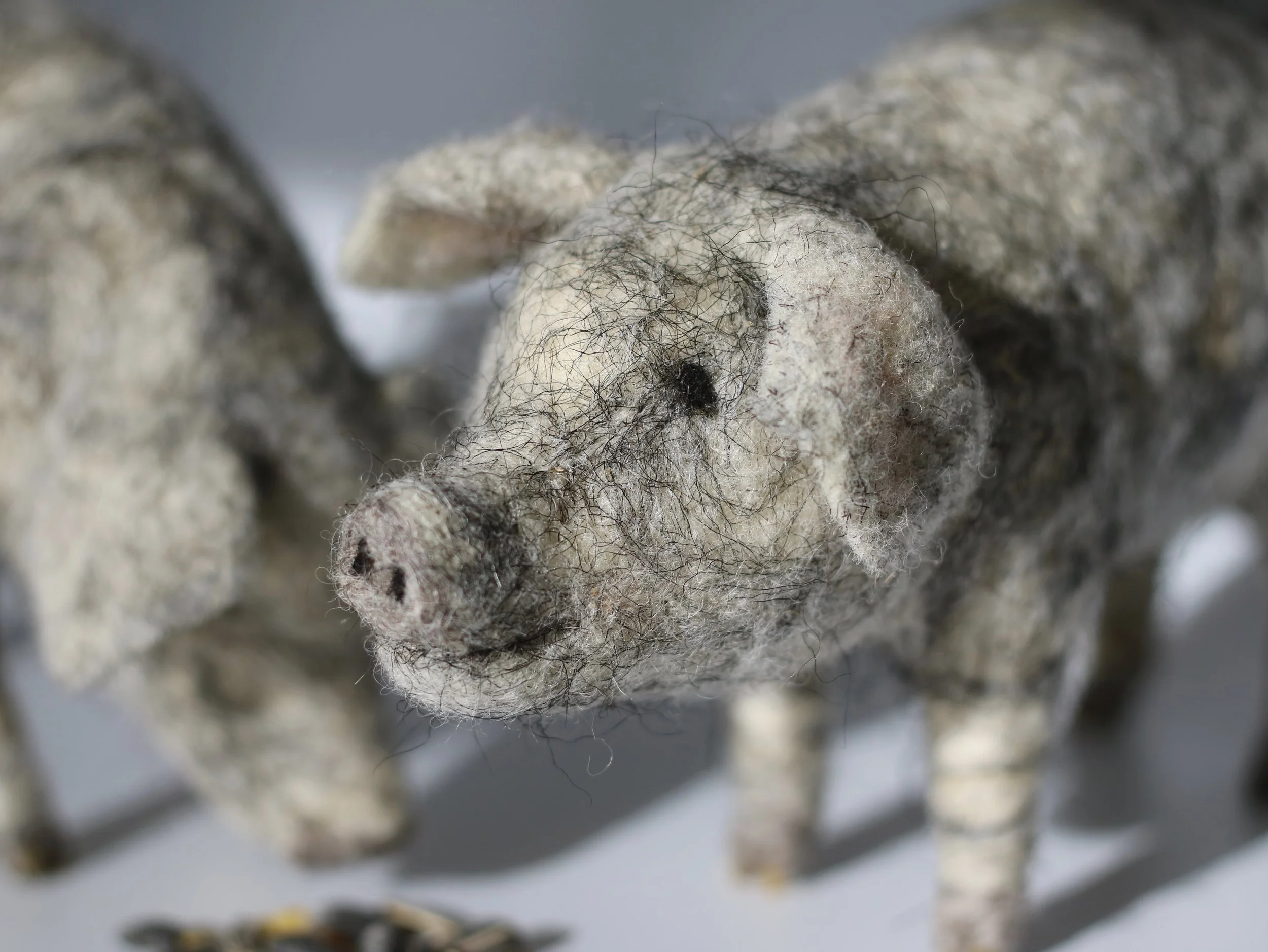 needle felted pig