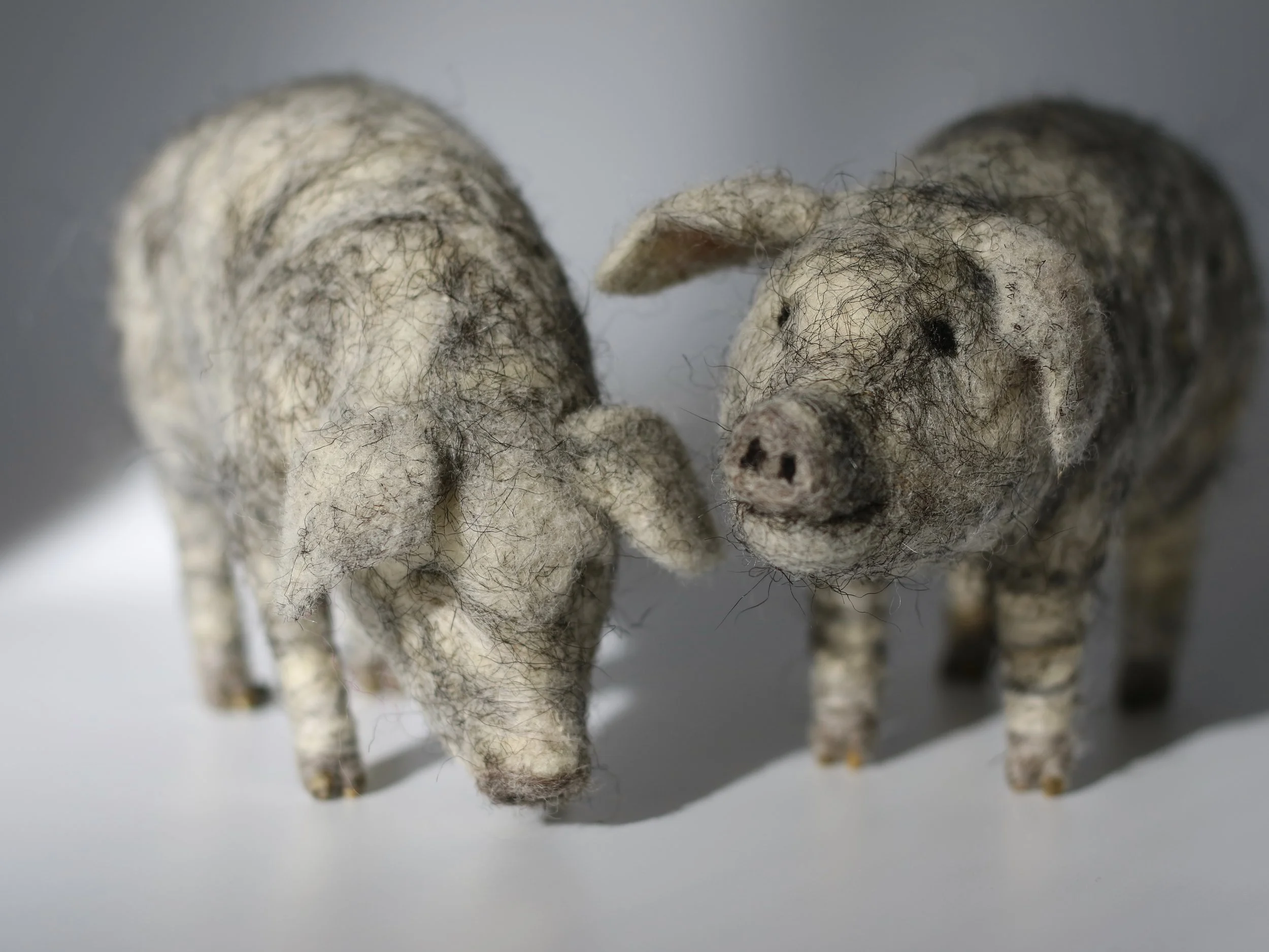 needle felted pig