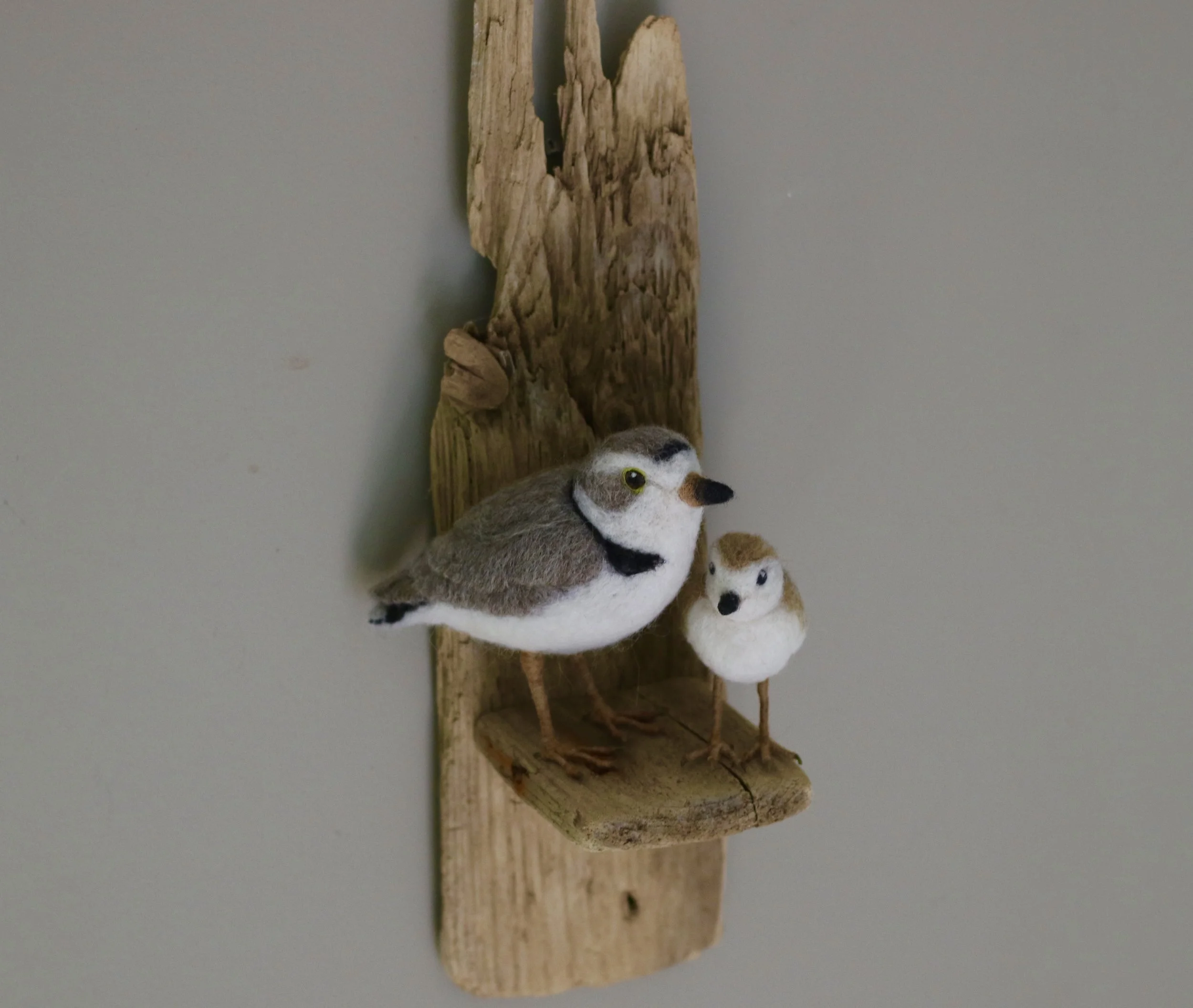 needle felted piping plover