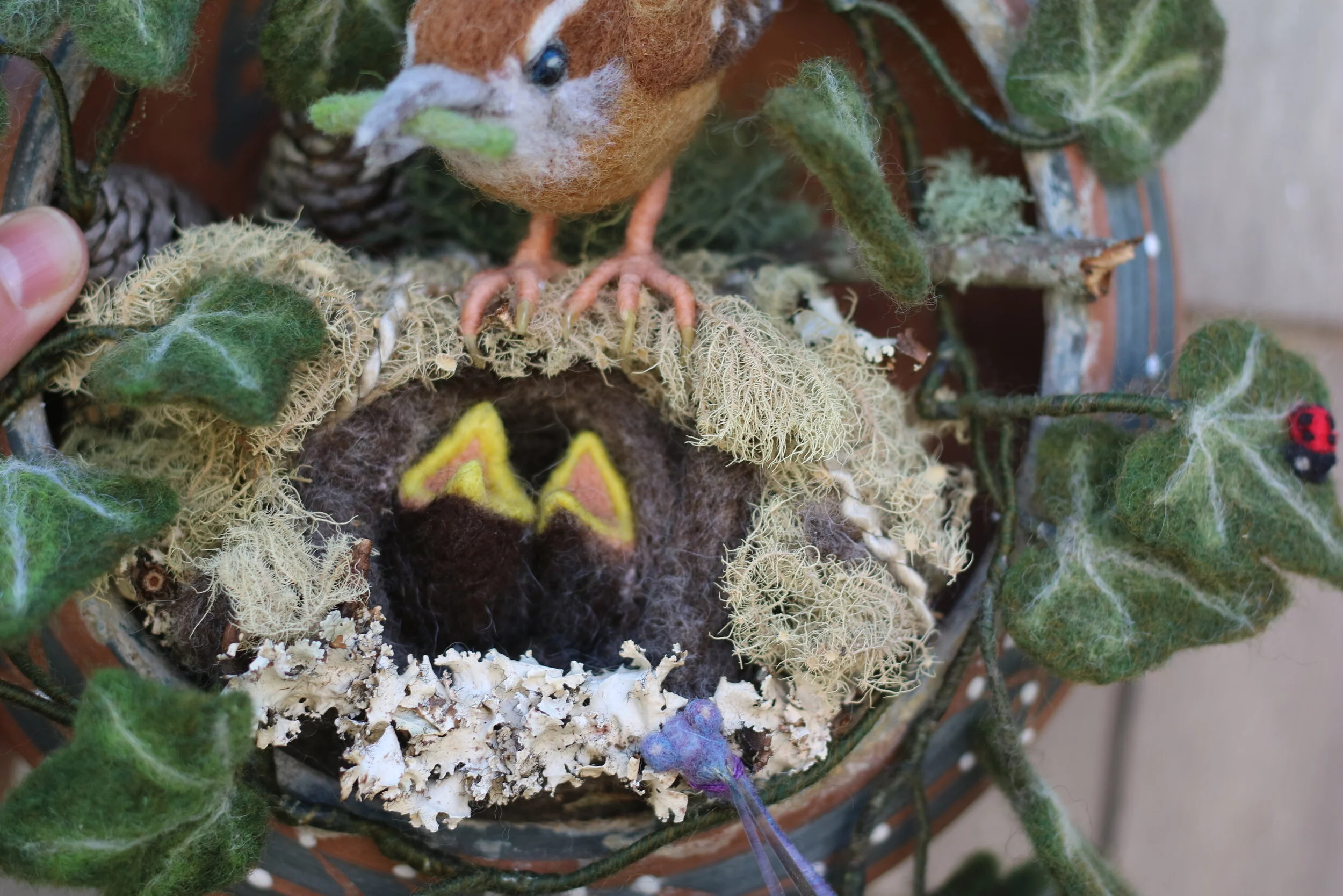 needle felted wren