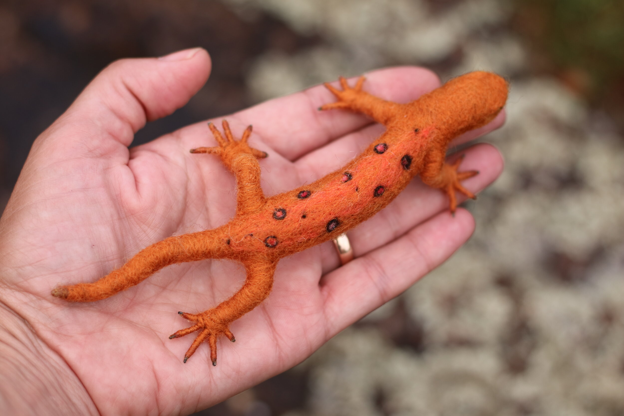 Red Eft