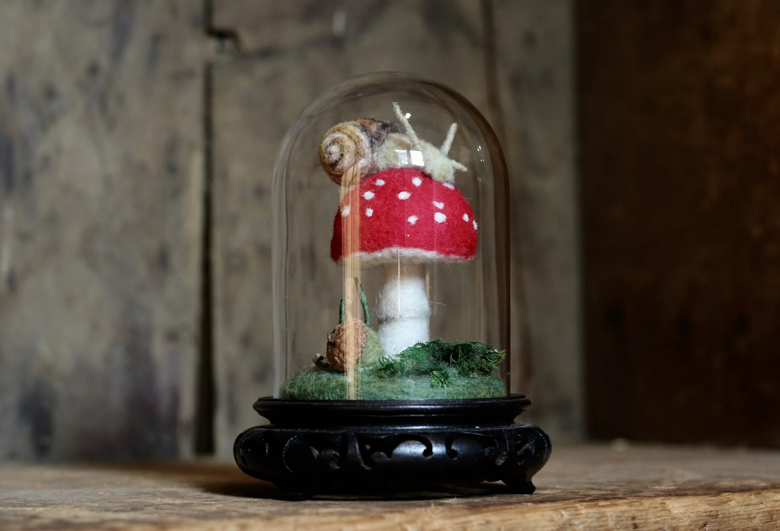 Mushroom &amp; Snail