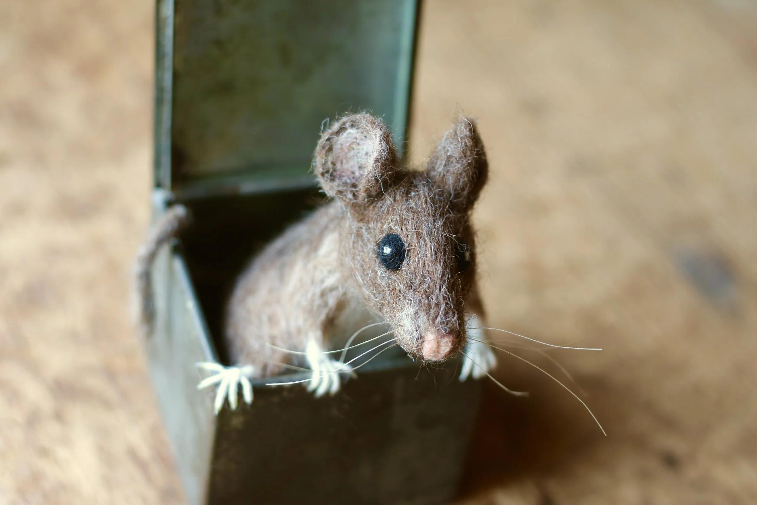 Mouse in a Box