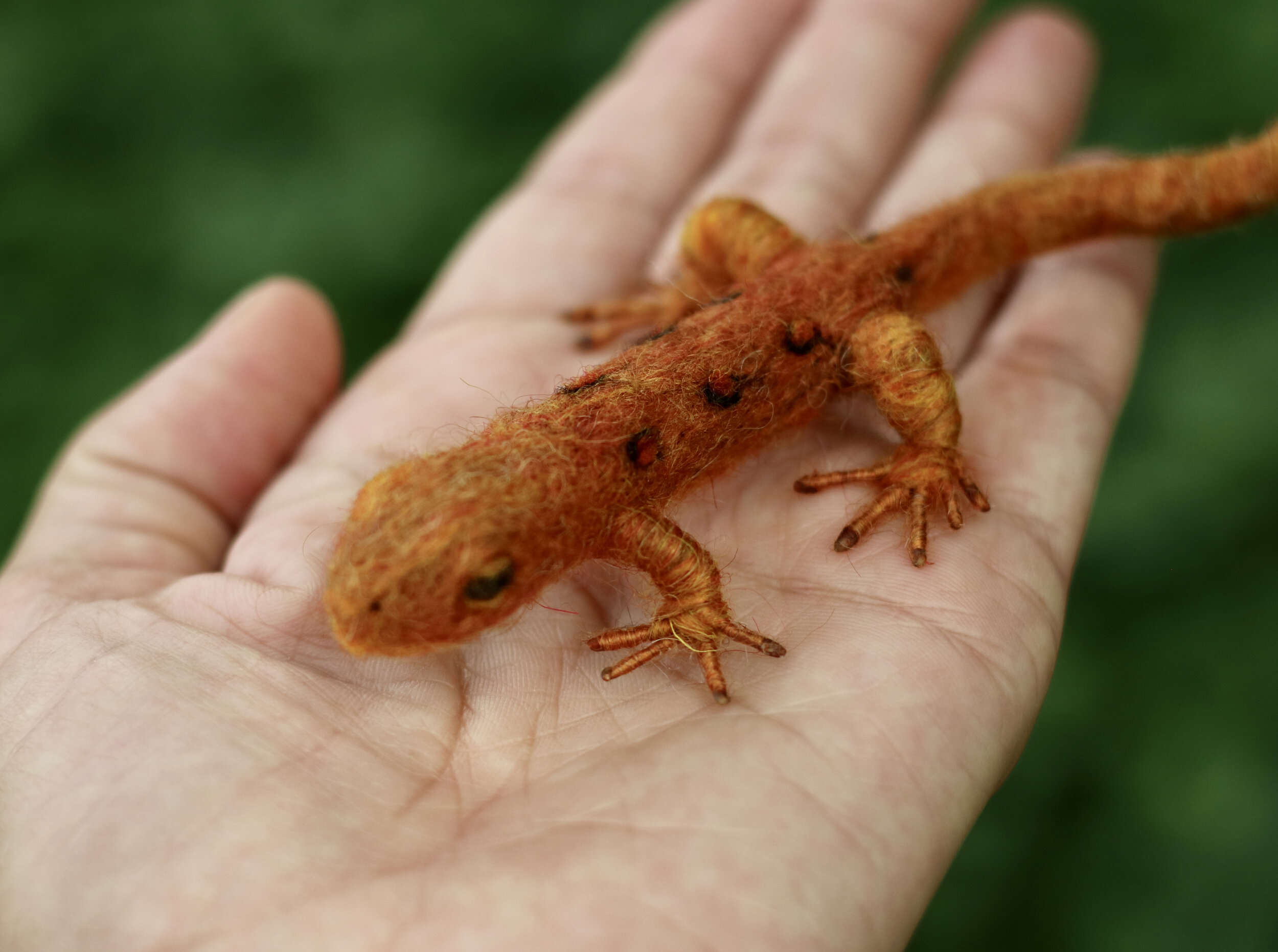 Red Eft