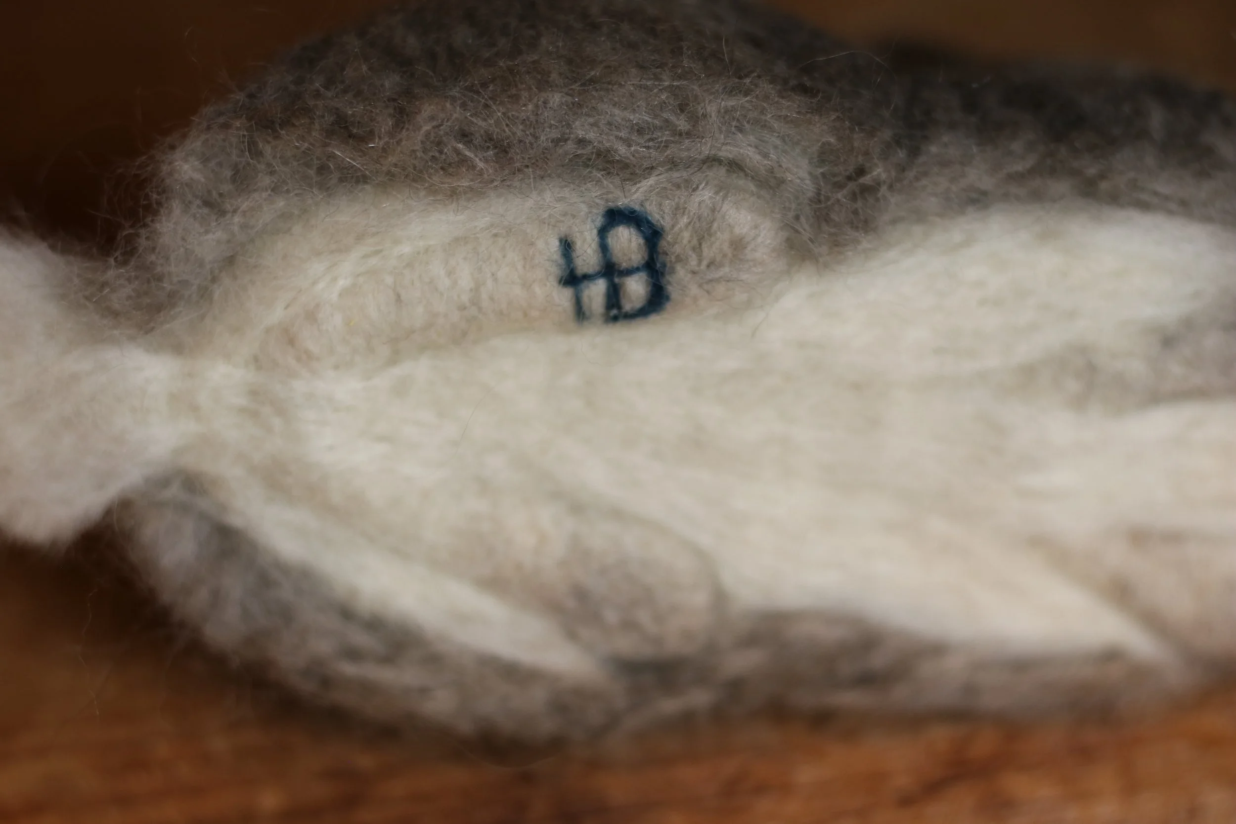 needle felted bunny