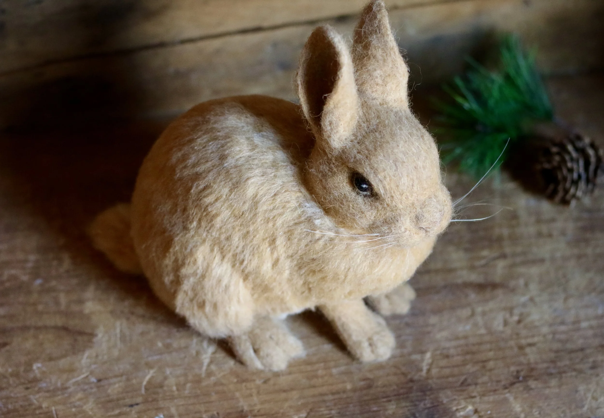 Rabbit